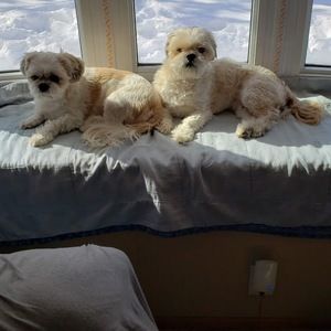 Meet your Posher, Jaclyn